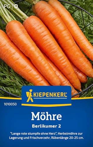 Kiepenkerl Möhrensamen Berlikumer 2 1010050 - Ertragreiche Karotten Samen mit kräftigem Geschmack - Gemüsepflanzen Saatgut Samen Gemüse Karotten