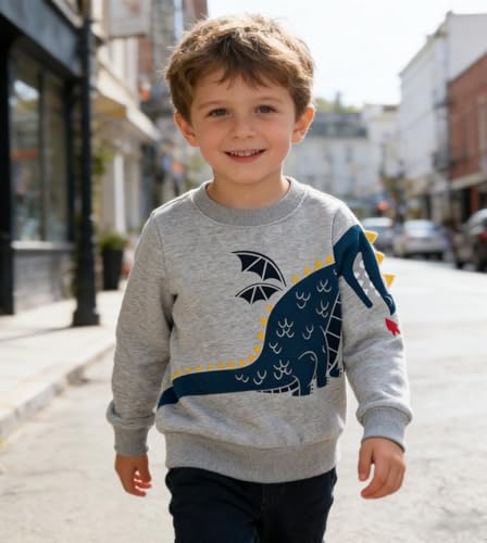 Image of Popshion Toddler Boys Sweatshirts Dinosaur Long Sleeve Pullover Crewneck Shirts Cartoon Tee Sport Tops for Kids 1-8T