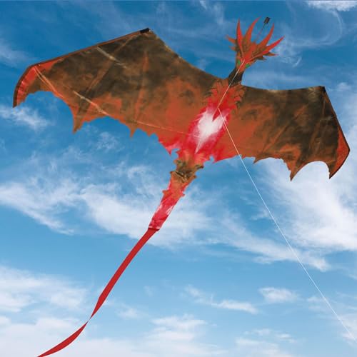 Mejores review On-line Cometa dragón al mejor precio. 27 Imagen adicional