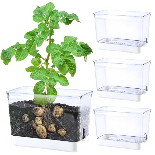 Oliz Self Watering Planters - 4 Pack Rectangular Clear Plant Pots with Drainage Holes for Indoor...