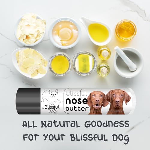 Image of The Blissful Dog Vizsla Nose Butter for Dry, Cracked Skin, Lick-Safe Dog Nose Balm with Moisturizing Shea Butter, Almond, Olive, and Essential Oils, Pet Supplies, Uncented, 0.15 oz.