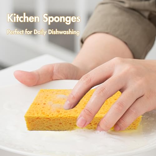 Image of 6 x 3.6 x 0.9 Inch JK SP-T22 Large Sponge, Kitchen Sponges, Handy Sponges, Cellulose Sponges, Dish Washing Sponge, Natural Sponge, Car Washing Sponge, Eco Friendly Sponge