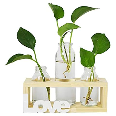 Jarrón de vidrio cilíndrico para plantas hidropónicas SmartPoorer AMOR Cover