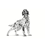 Royal Canin Veterinary Hypoallergenic | 7 kg | Diät-Alleinfuttermittel für ausgewachsene Hunde | Zur Minderung von Ausgangserzeugnis-und Nährstoffintoleranzerscheinungen – Bild 3