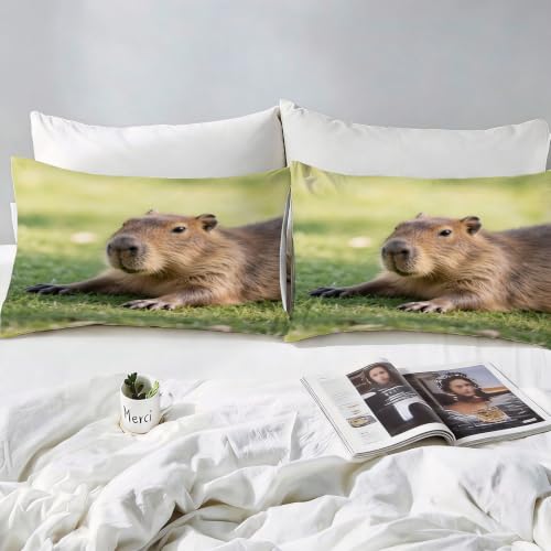 Housse de couette capybara 240x260 parure de lit faune microfibre - 4