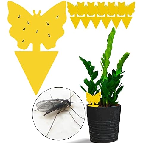 6 Fruit Fly & Fungus Gnat Traps, Double Sided Yellow Sticky Bug Insect Killer for Indoor and Outdoor Plants by unel (6) Cover