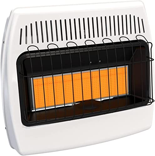 30,000 BTU Natural Gas/Propane Wall Heater for Indoor Use - Dual Fuel,