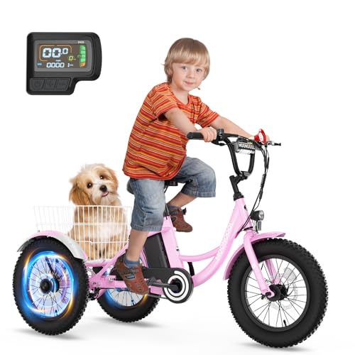 DoCred 16 Inch Kids Electric Trike, 250W 24V Fat Tire...