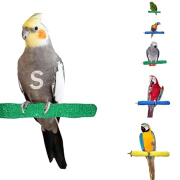 best bird perches for foot health that will surprise you 2 best bird perches for foot health