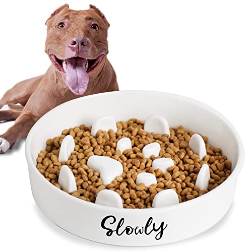 Slow Feeder Dog Bowls, Farmhouse Ceramic Fun Slow Eater Bowl for Small Medium Breed, White