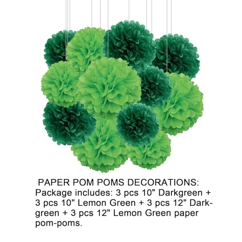 Image of Aimto 12pcs Dark Green and Lemon Green Paper Pom Poms Decorations for St. Patrick's Day Party Hanging Tissue Flowers Decorations - 1 Color of 12 Inch, 10 Inch