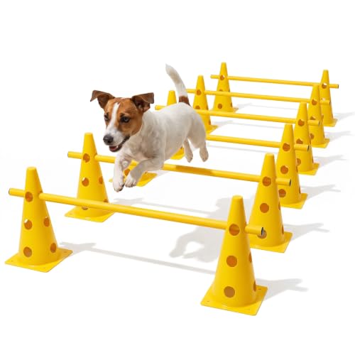 6-Piece Agility Training Set