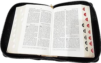 Image of Pocket Bible Small Size Hindi