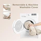 EHEYCIGA Orthopädisches Hundebett Kleine Hunde, 76x51cm, Memory Foam Hundekorb Mittelgroße Hunde, Waschbar Hundesofa Wasserdicht rutschfest, Hundecouch mit Hohem Rand, Beige