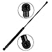 Maxpow 2 Front Hood and 2 Rear Window Glass Lift Supports Struts Shocks Replacement for 2003-2012 Land Rove-r Range Rove-r 2003 2004 2005 2006 2007 2008 2009 2010 2011 2012, 6619 SG487001