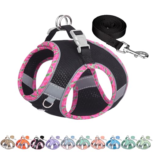 AIITLE Teacup Puppy Harness with Leash - Adjustable Soft Vest with Magic Tape & Reflective Safety Strips, Easy-Put-On for Poodles, Pomeranians - Gym, Hiking, Travel (Black, S)
