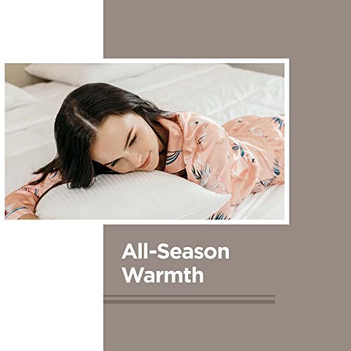 Downlite World’s Biggest Blanket – Extra Large Down Alternative Blanket – Hypoallergenic 35 Oz Fill, All-Season, 300 Thread Count Cotton, Machine Washable & Dryable – Super King Size, 120"X110" #TOP4