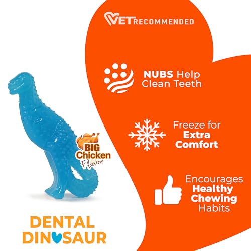 Image of Nylabone Puppy Chew Dental Dinosaur Dog Chew Toy, Chicken Flavor, Small