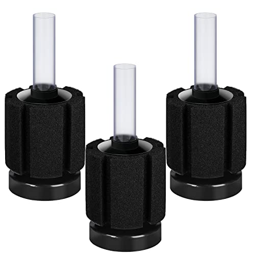 Tank Choosing The Best Filter For Betta Tanks A 10Gallon Tank Guide