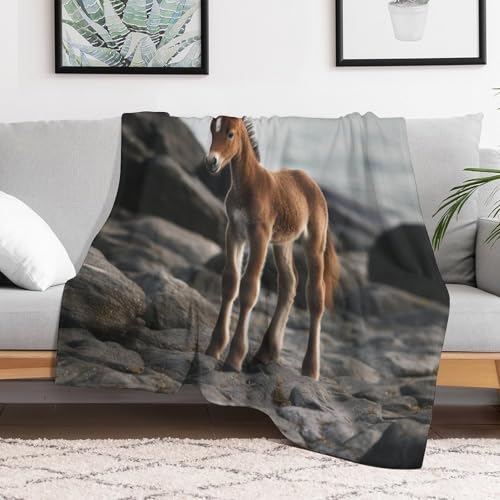 Couverture cheval légère pour vos soirées cocooning sofa - 3