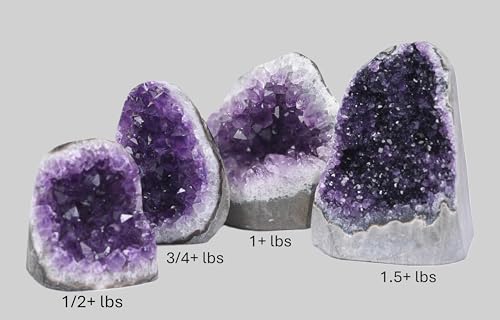 Image of Extreme Amethyst Cluster (2 lbs to 2.5 lbs, Deep Purple Amethyst) Feel The Power of This Uruguayan geode in Your own Personal Space. Includes 3 inch Selenite Wand in a Velvet Bag.