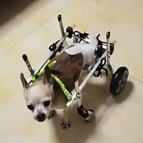 Adjustable Small Dog Knee Brace for Torn ACL, Pet Wheelchair for Hind Leg Support, Hip Support Brace for Dogs, Animal Exercise Wheels (Size XXS)