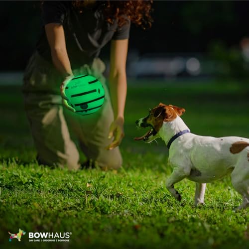 BOWHAUS Giggle Glow in The Dark Ball for Dogs, 5.5 Inch Interactive Dog Exercise Toys, Indestructible Fun Squeaky Chew Toy, Non-Toxic Durable PVC Chew Ball for Indoor Outdoor Play - Thumbnail 6
