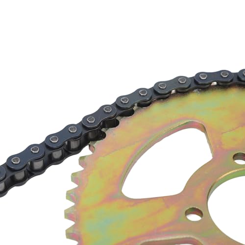 Kit de Roda Dentada Traseira Durável Com Corrente 428 para 110cc 125cc 140cc Trail Bike ATV