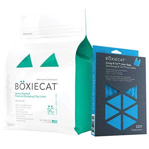 Boxie Cat Litter The 15 best products compared Wild Explained