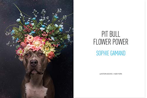 Pit Bull Flower Power