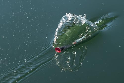 Appât de pêche eau douce Maverick Berkley 70mm à action erratique - 4