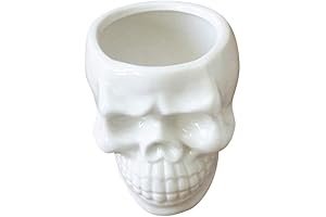 BinaryABC Ceramic Skull Succulent Planter Pots