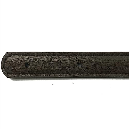 Correa de bolso 2 correas de bolso correas de bolso de mujer correas de bolso extraíbles correas de bolso de hombro para mujer correas de bolso de mano bricolaje reemplazo correas accesorios bolsa