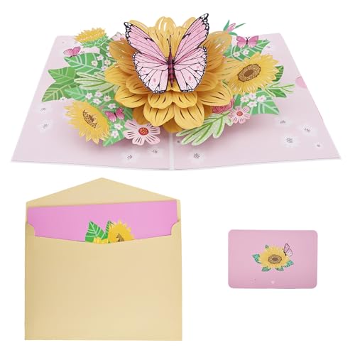 Cranviech a ̓Mtg Ɖ 3D|bvAbvO[eBOJ[h nhChy[p[A[g Ђ܂̒Œ̃_X fUC t fB[X K[Y