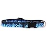 Yellow Dog Design Blue Flames Dog Collar Fits Neck 14 to 20″, Medium 1″ Wide