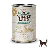 Wildes Land