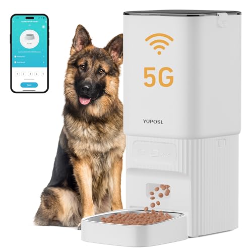 automatic cat feeders