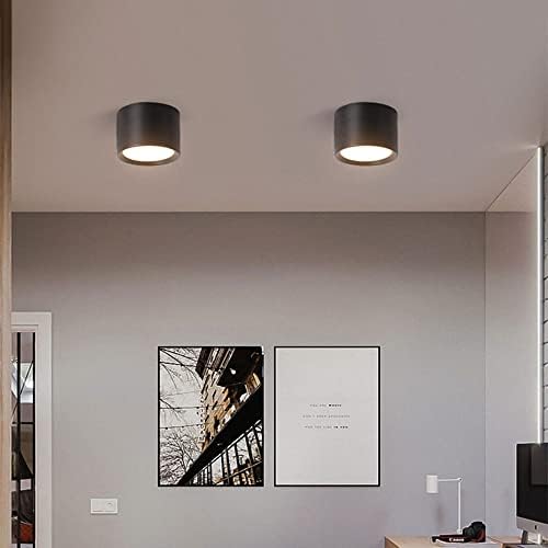 12W Modern LED Ceiling Spotlight, Adjustable Mounted Downlight & Picture Lights for Gallery, Hallway & Corridor, Mini Accent Lighting, Warm White 3000K