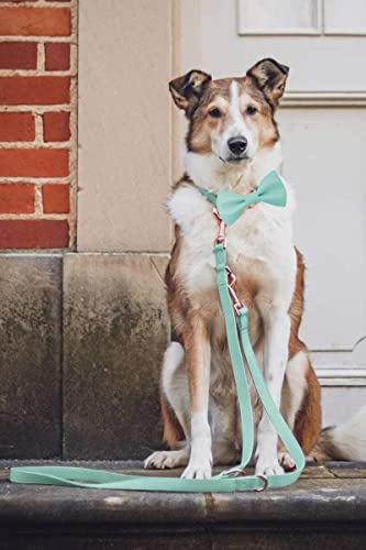 Soft Leather Bowtie Dog Collar - Adjustable Cute Bow Tie Collar [Easy To Clean] With Stylish Rose Gold Heavy Duty Metal Buckle For Small Medium Large Dogs Mint Green S #TOP1