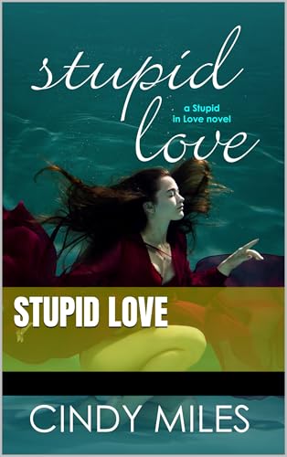 Stupid Love