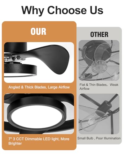 Image of Roomratv Fandelier Ceiling Fan with Light, 20 inch Flush Mount Metal Caged Enclosed Blades with Remote, Low Profile Farmhouse Fan Light for Bedroom Kitchen Living Room Office - Black