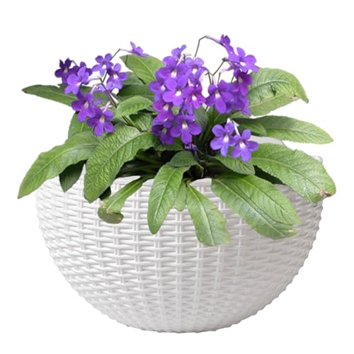 Vasi Da Fiori In Rattan Finto Da Appendere Alla Parete - Vasi Da Fiori Da Appendere Alla Parete, Semicircolari, V-asi Da Fioris Sospesi, Cestini, Con Drenaggio E Ganci, Per Recinzione,Balcone,Terrazza