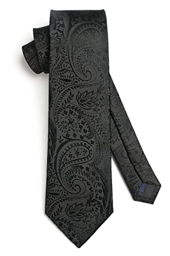 Image of HISDERN Ties for Men Paisley Tie and Pocket Square Woven Classic Floral Mens Ties Handkerchief Set Wedding Party Necktie