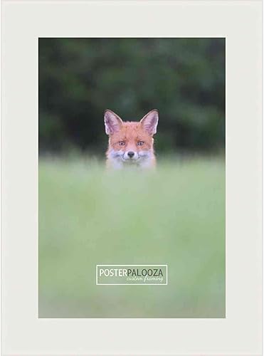 Poster Palooza Marco completo de madera de 18 x 36 pulgadas con acrílico UV, respaldo de tablero de espuma y herraje