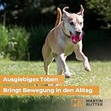 Martin Rütter Hundeball „Moby“ Blau – Hundespielzeug aus 100% Naturmaterial, springt unvorhersehbar und fördert Spiel, Bewegung & Auslastung