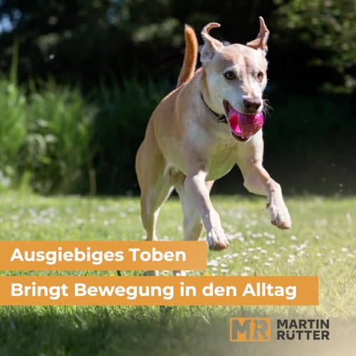 Martin Rütter Hundeball „Moby“ Blau – Hundespielzeug aus 100% Naturmaterial, springt unvorhersehbar und fördert Spiel, Bewegung & Auslastung