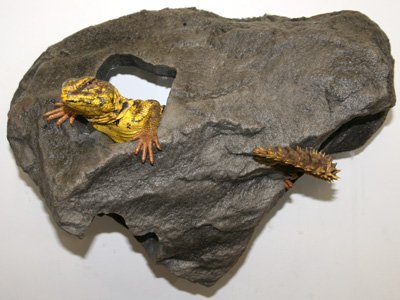 MagnaturalsMedium Hideaway Granite - Magnetic Decor