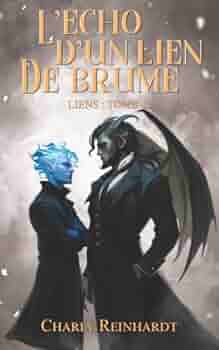 L’écho d’un lien de brume: Une romance MM Omegaverse : Gargouille x Oméga - Steampunk Fantasy