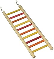 Algopix Similar Product 15 - Caitec Paradise Parakeet Bird Ladder