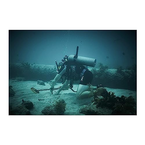 Waterproof Metal Detector for Adults